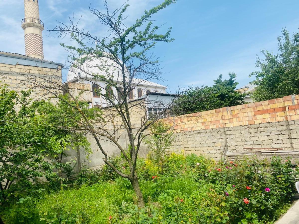 House In Quba Villa Exterior photo